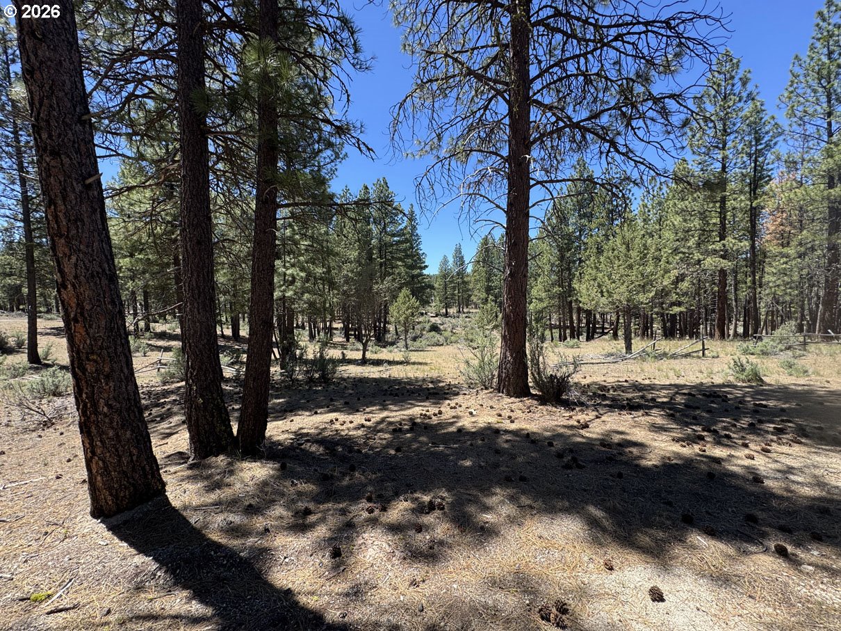 15651 Marcee Way Chiloquin, OR 97624 - Photo 18 of 47