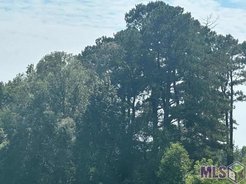 Tbd Uti Moore Road Denham Springs, LA 70706 - Photo 3 of 4