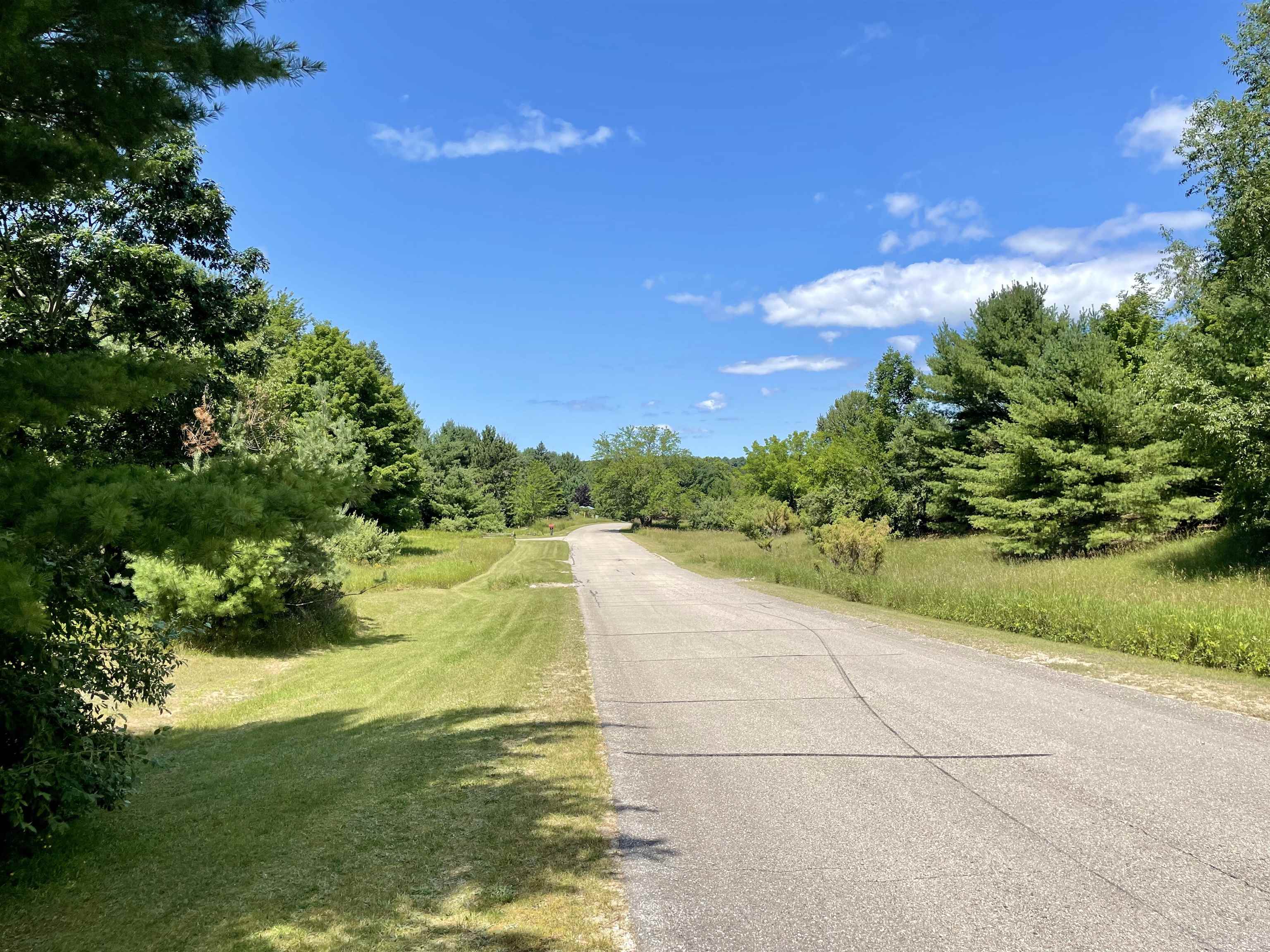 0 Bassil Road, Unit LOT: 36 Bellaire, MI 49615 - Photo 5 of 15