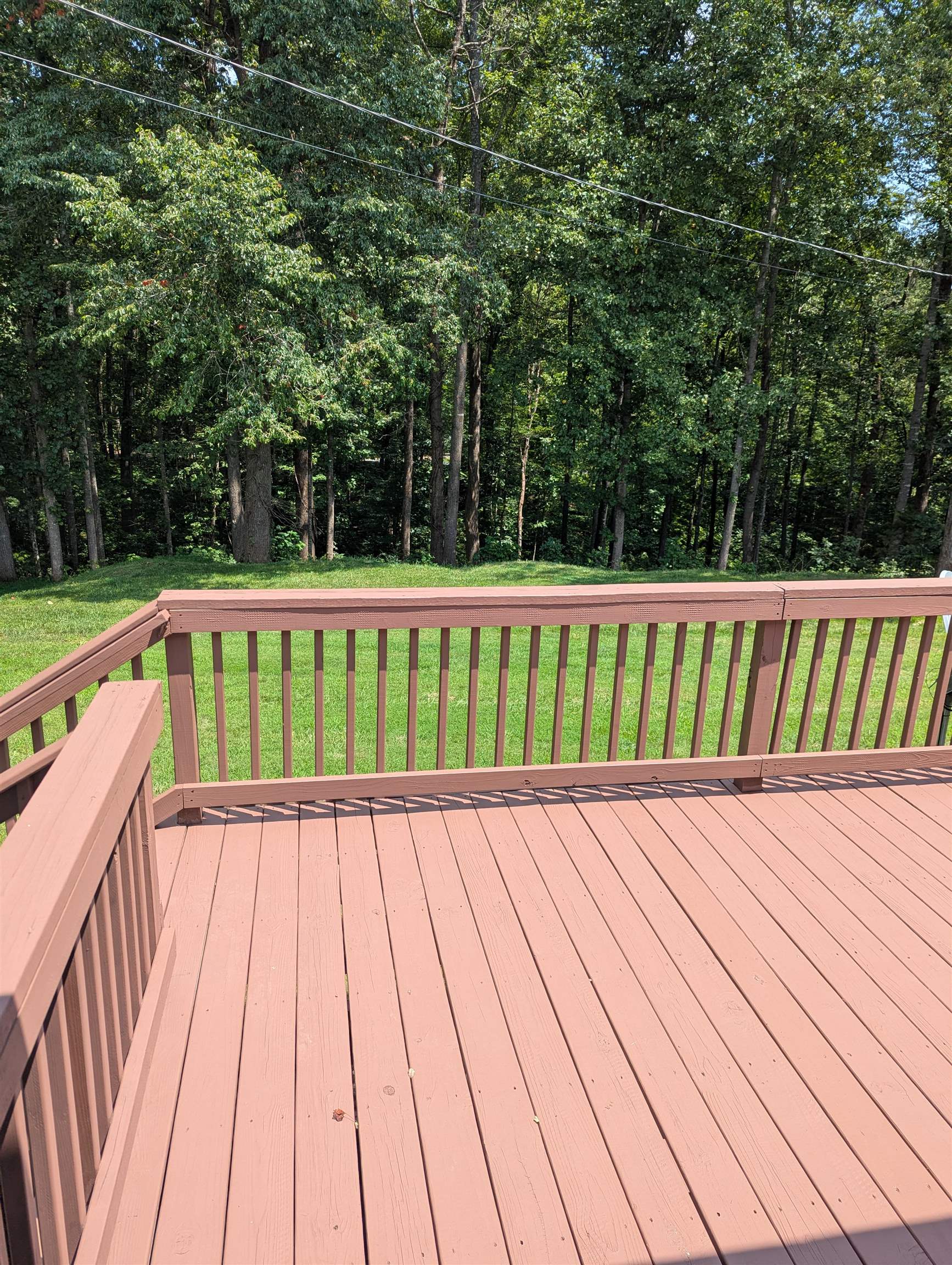 1893 Shelby Road Madison, VA 22727 - Photo 10 of 22 Back Deck