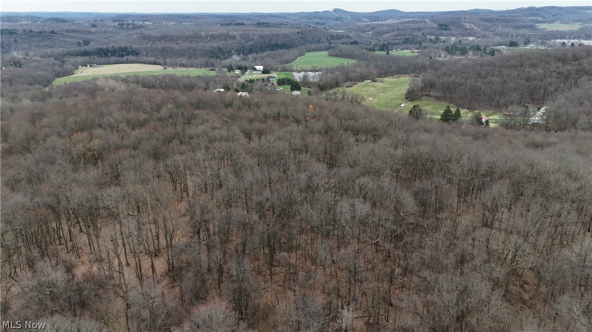 Cream Ridge Road Lisbon, OH 44432 - Photo 4 of 7 Drone / aerial view of a heavily wooded area