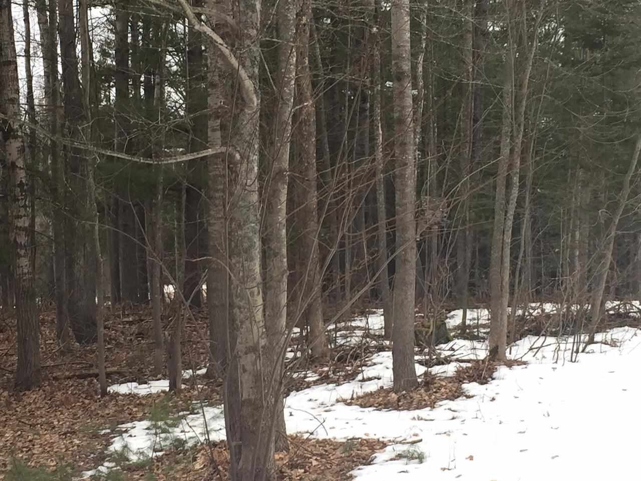 7181 East 12 Mile Road Manton, MI 49663 - Photo 1 of 1 Gallery Image 1