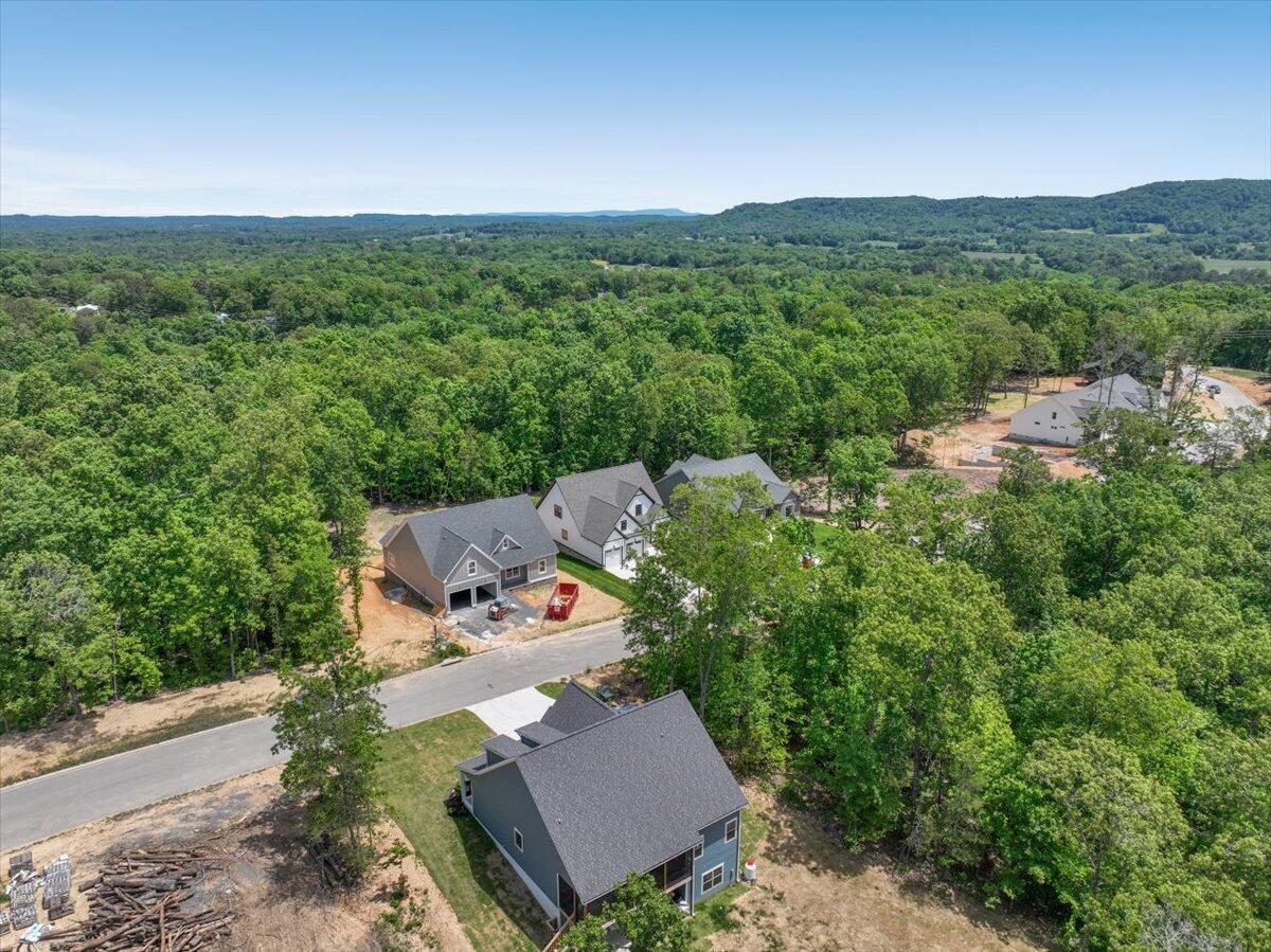 7409 Peytons Rise Way, Unit LOT #39 Georgetown, TN 37336 - Photo 38 of 40 38-7409 Peytons Rise 038