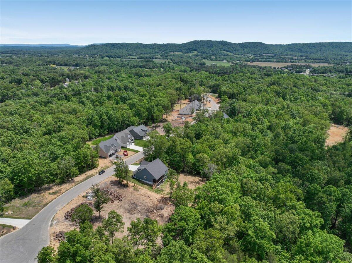 7409 Peytons Rise Way, Unit LOT #39 Georgetown, TN 37336 - Photo 39 of 40 39-7409 Peytons Rise 039