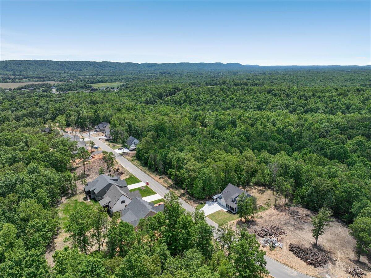 7409 Peytons Rise Way, Unit LOT #39 Georgetown, TN 37336 - Photo 40 of 40 40-7409 Peytons Rise 040