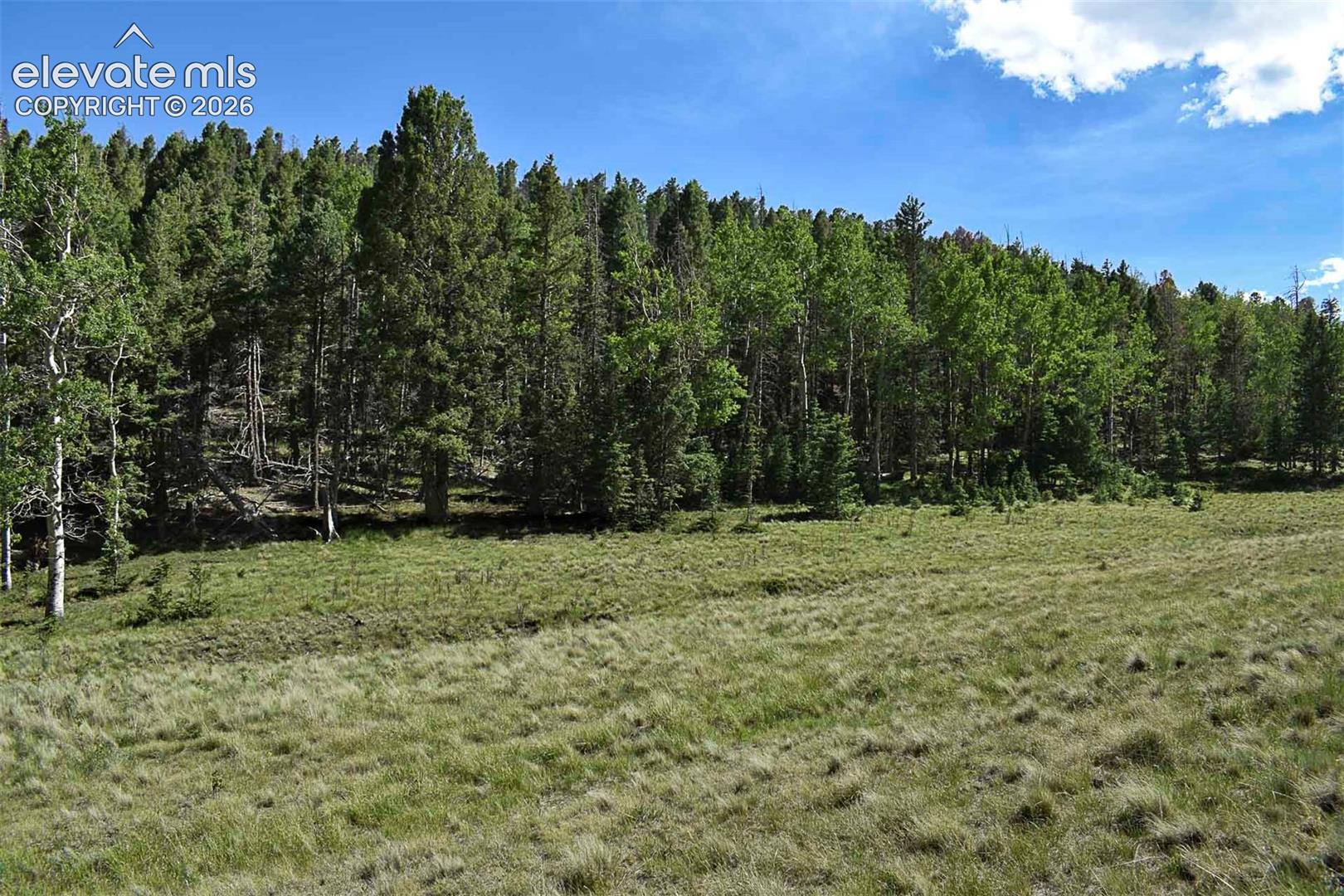 0 Bear Cat Road Guffey, CO 80820 - Photo 10 of 40 Gallery Image 10