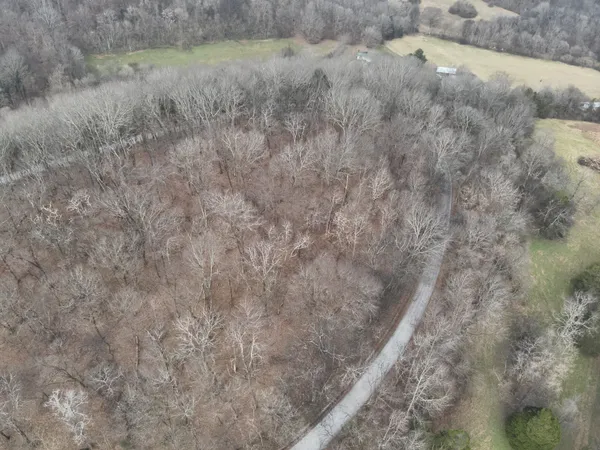 a view of a dry yard