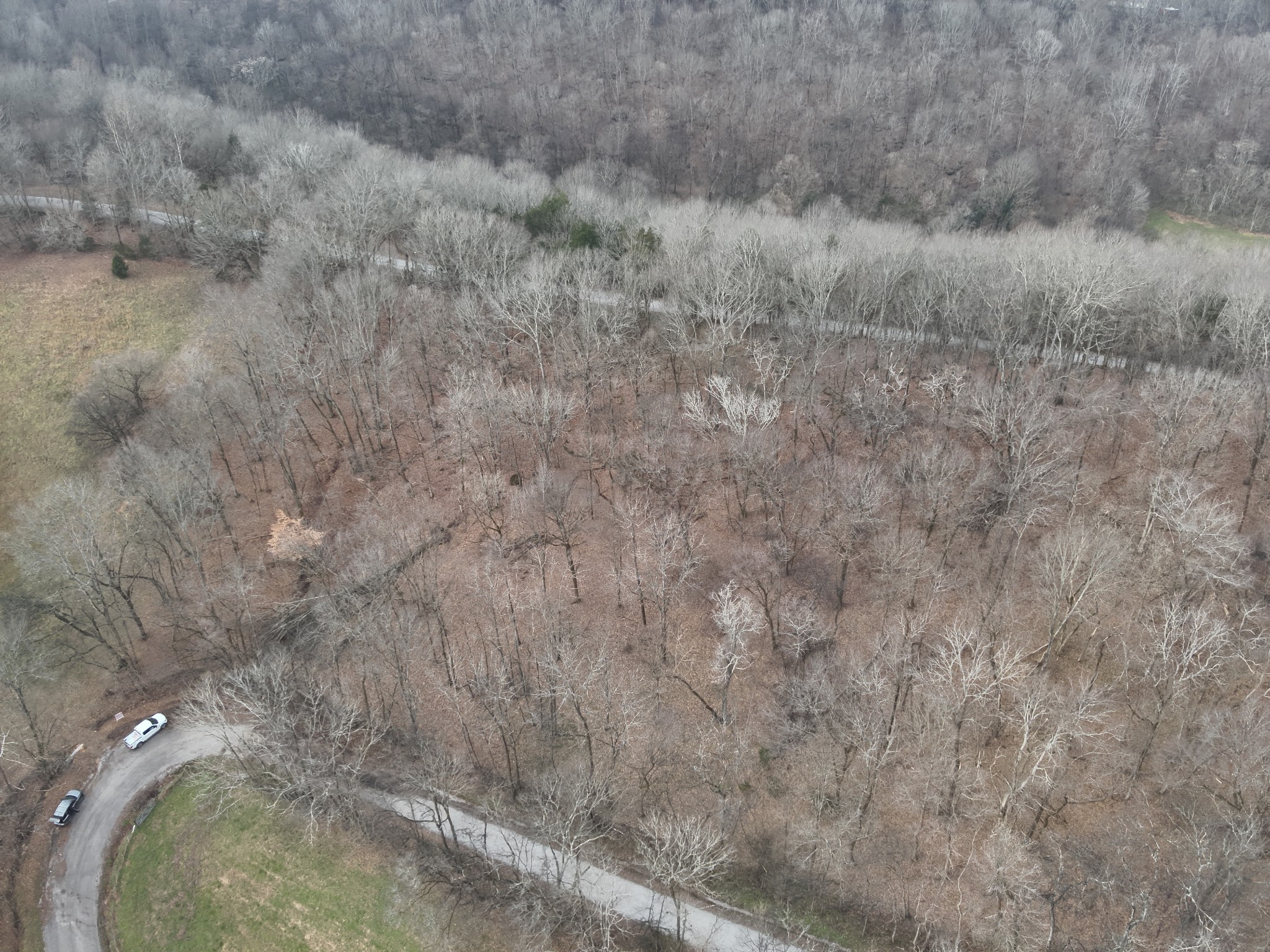 0 Crooked Hill Road Pulaski, TN 38478 - Photo 12 of 26