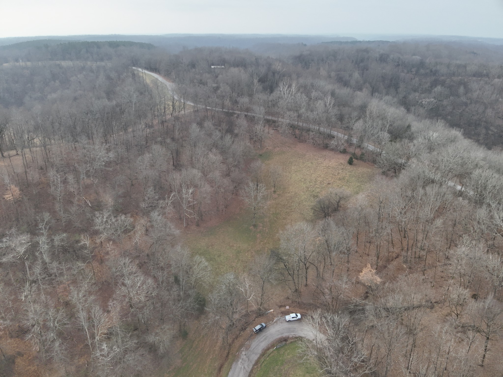 0 Crooked Hill Road Pulaski, TN 38478 - Photo 13 of 26 a view of a dry yard