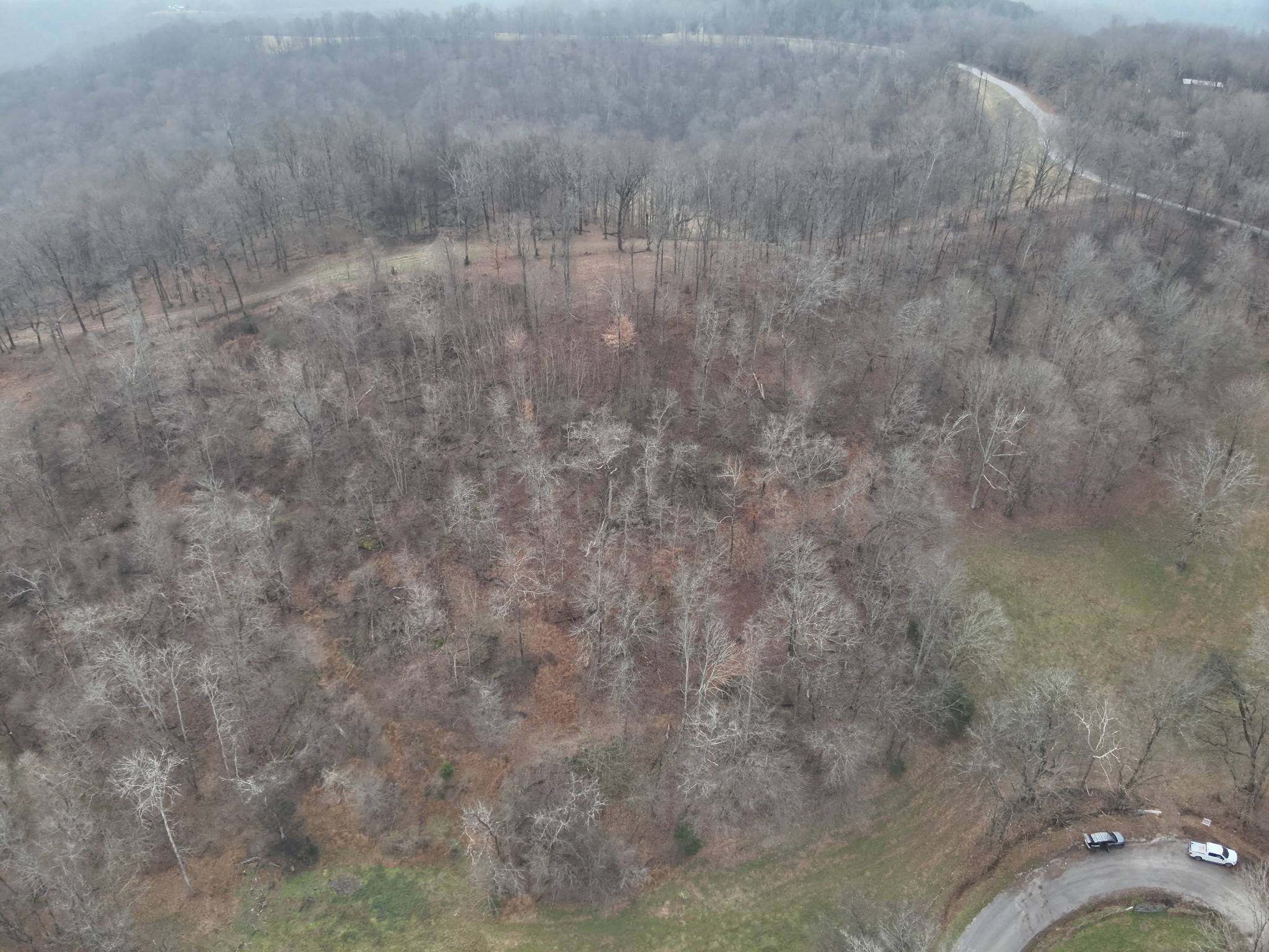 0 Crooked Hill Road Pulaski, TN 38478 - Photo 14 of 26 a view of a dry yard