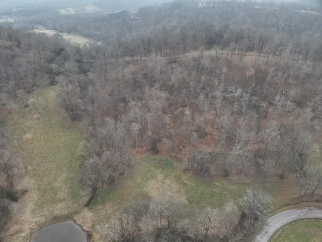 a view of a dry yard