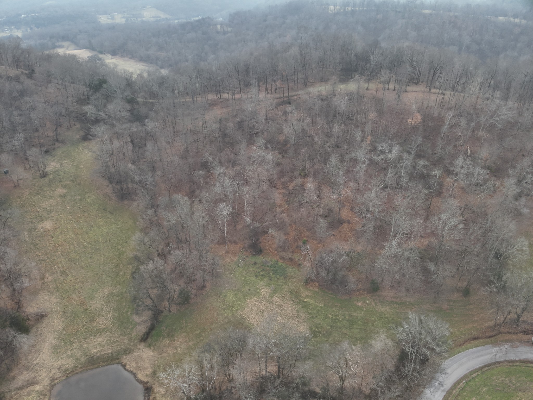 0 Crooked Hill Road Pulaski, TN 38478 - Photo 15 of 26 a view of a dry yard