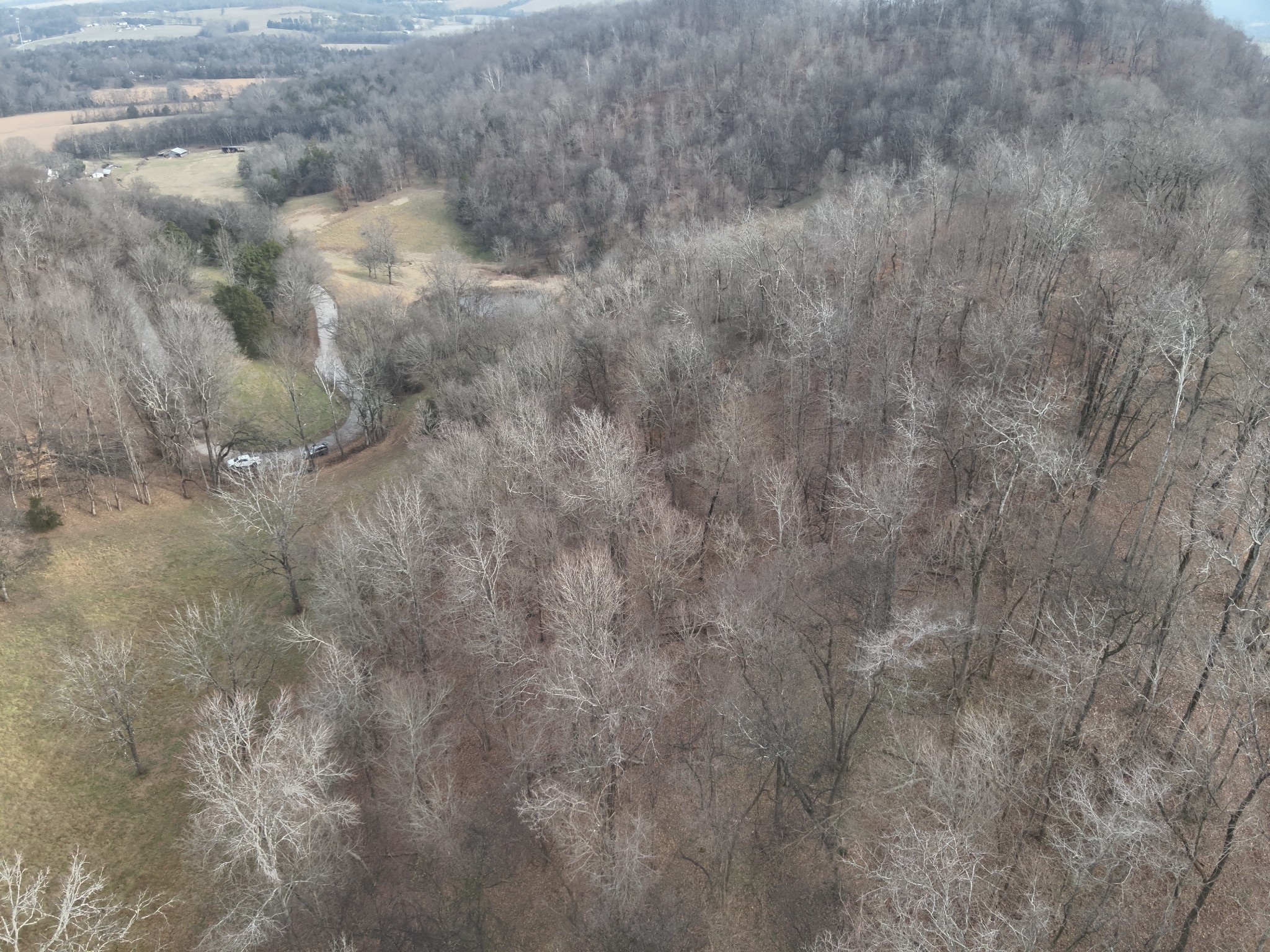 0 Crooked Hill Road Pulaski, TN 38478 - Photo 18 of 26 a view of a dry yard