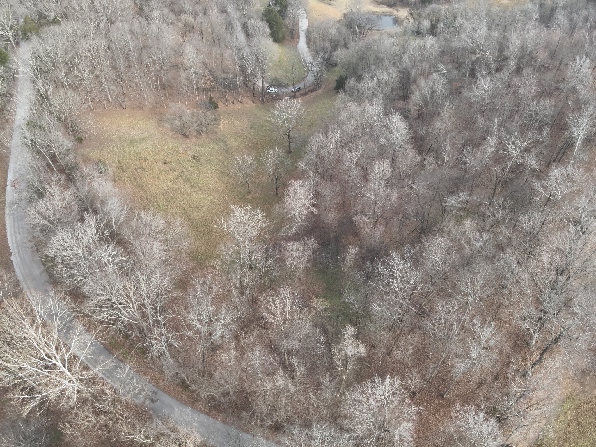 0 Crooked Hill Road Pulaski, TN 38478 - Photo 19 of 26 a close up of a white marble top