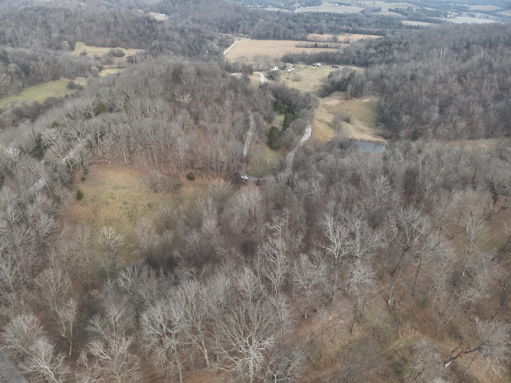 0 Crooked Hill Road Pulaski, TN 38478 - Photo 20 of 26 a view of a dry yard