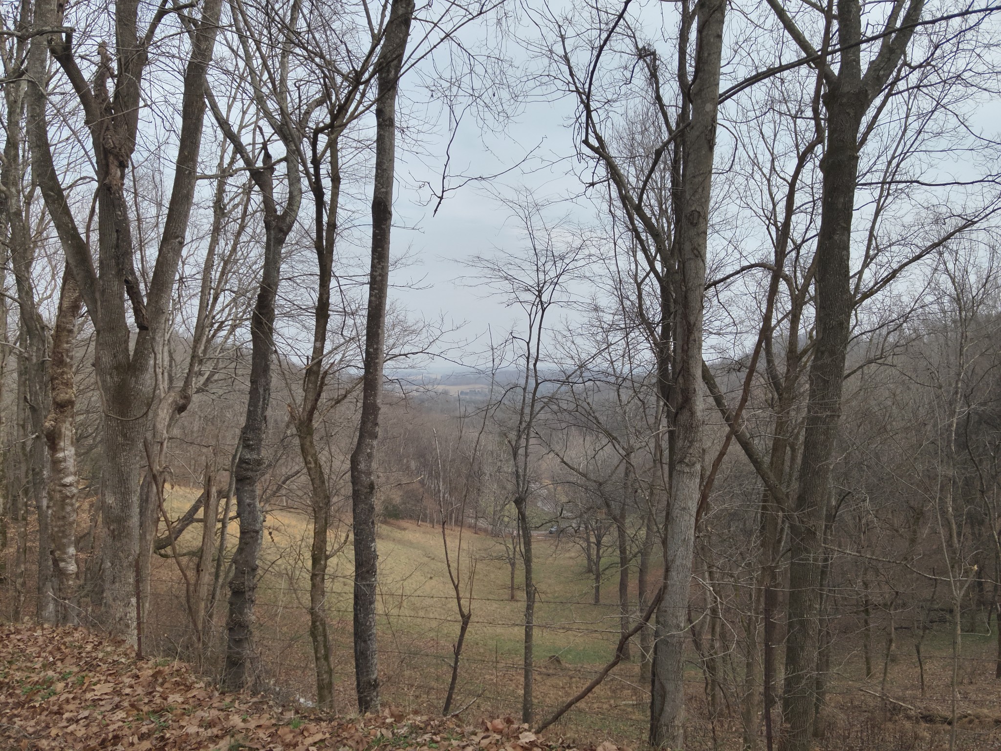 0 Crooked Hill Road Pulaski, TN 38478 - Photo 24 of 26 a backyard of a house with lots of green space