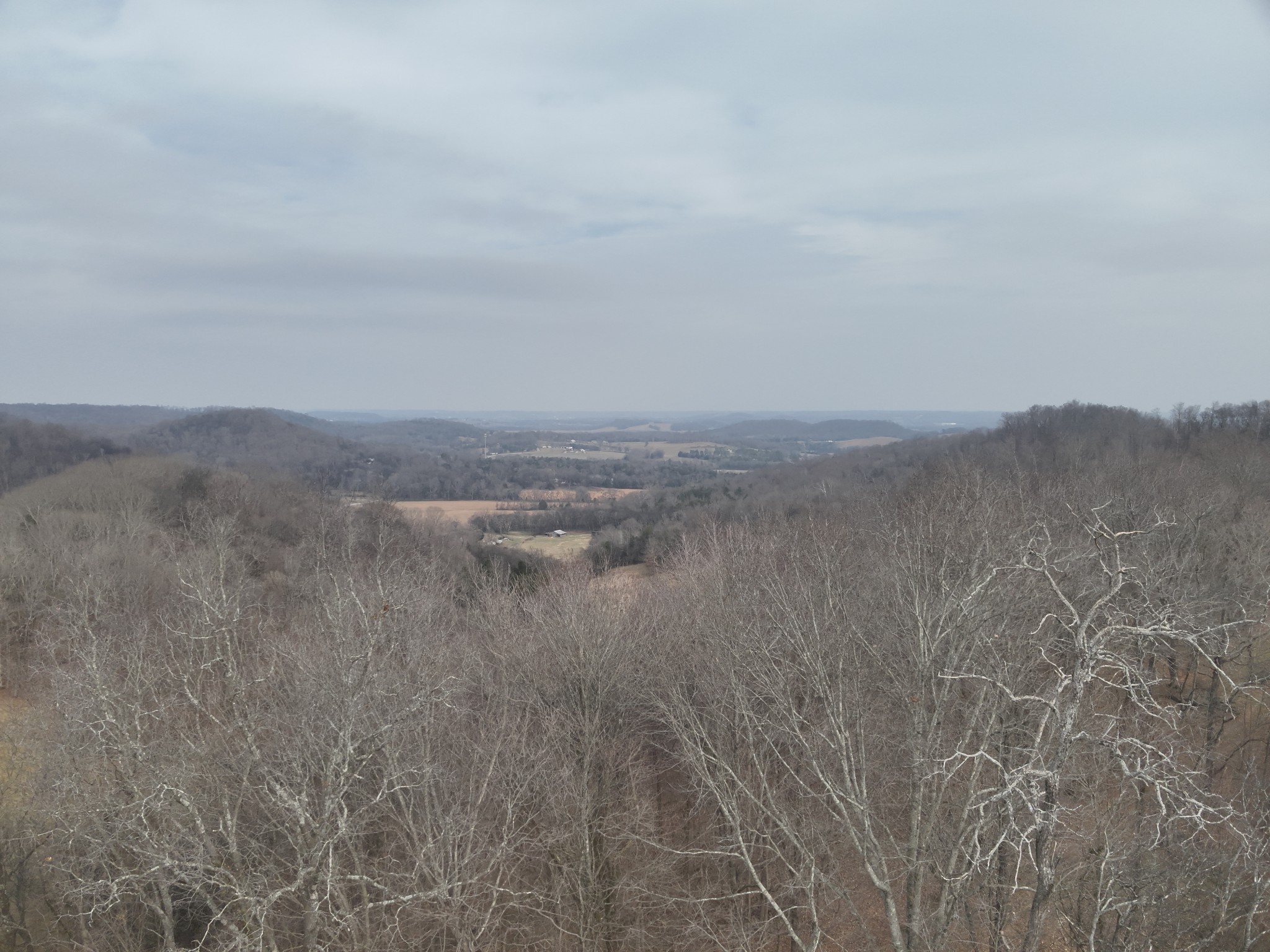 0 Crooked Hill Road Pulaski, TN 38478 - Photo 25 of 26