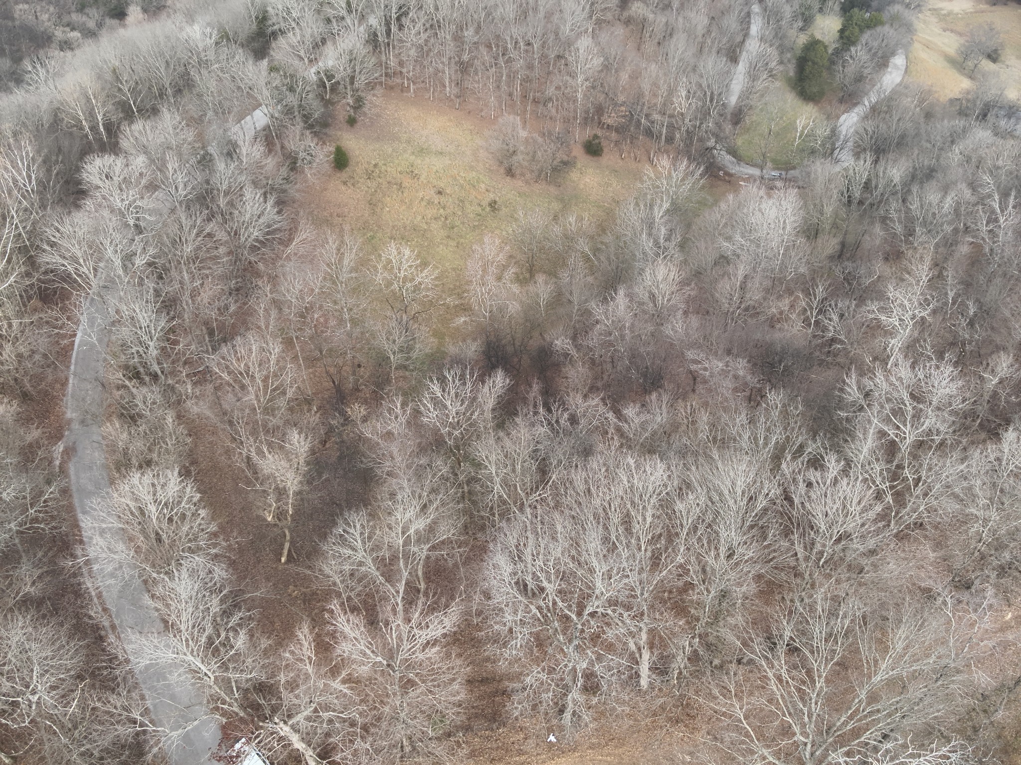 0 Crooked Hill Road Pulaski, TN 38478 - Photo 26 of 26