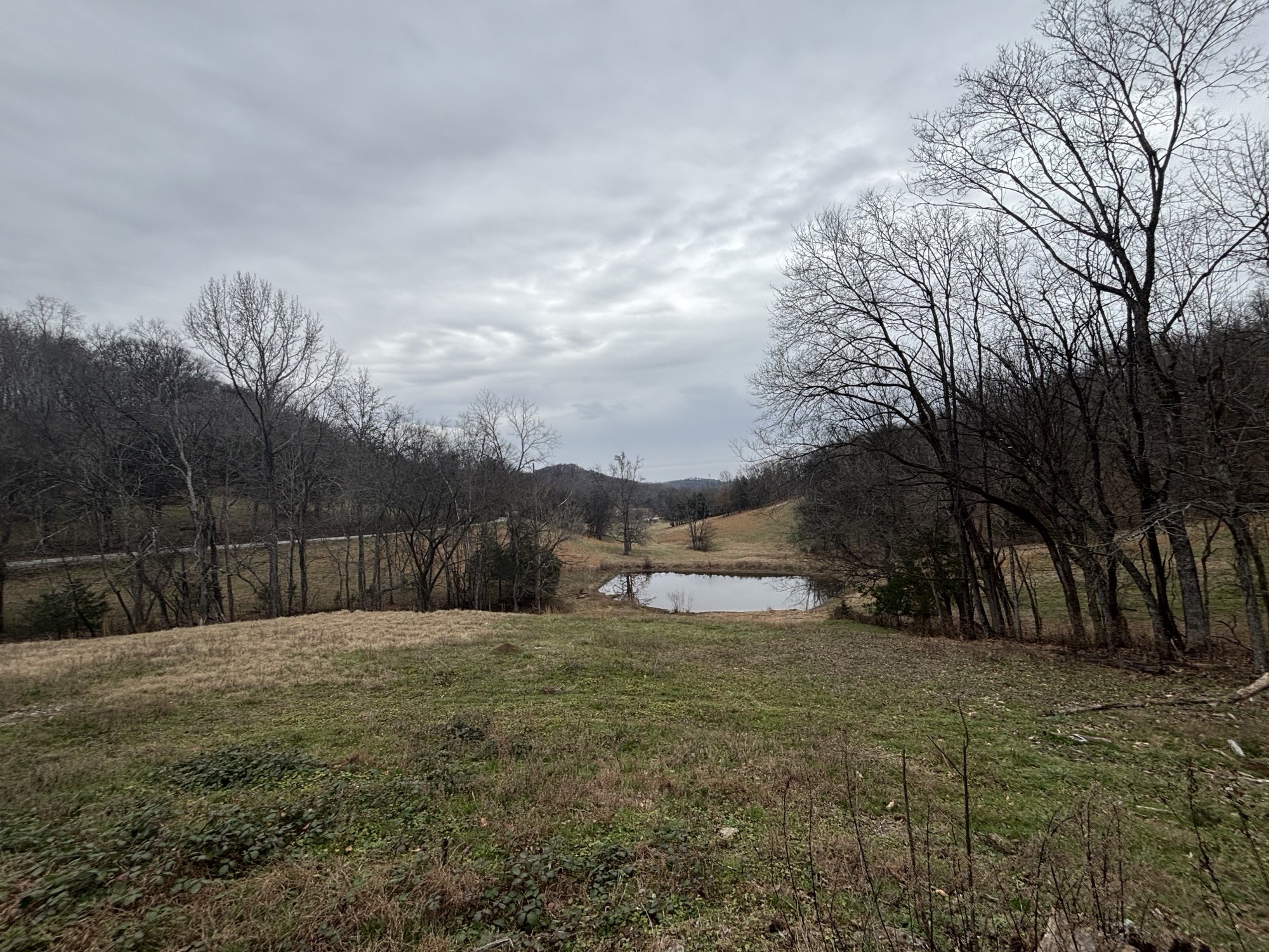 0 Crooked Hill Road Pulaski, TN 38478 - Photo 3 of 26 a view of a backyard
