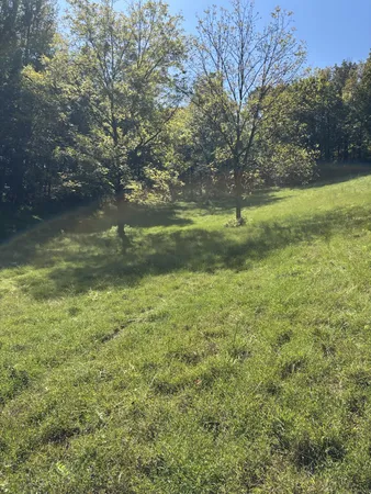 a view of yard with green space