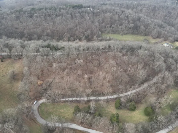 a view of a dry yard