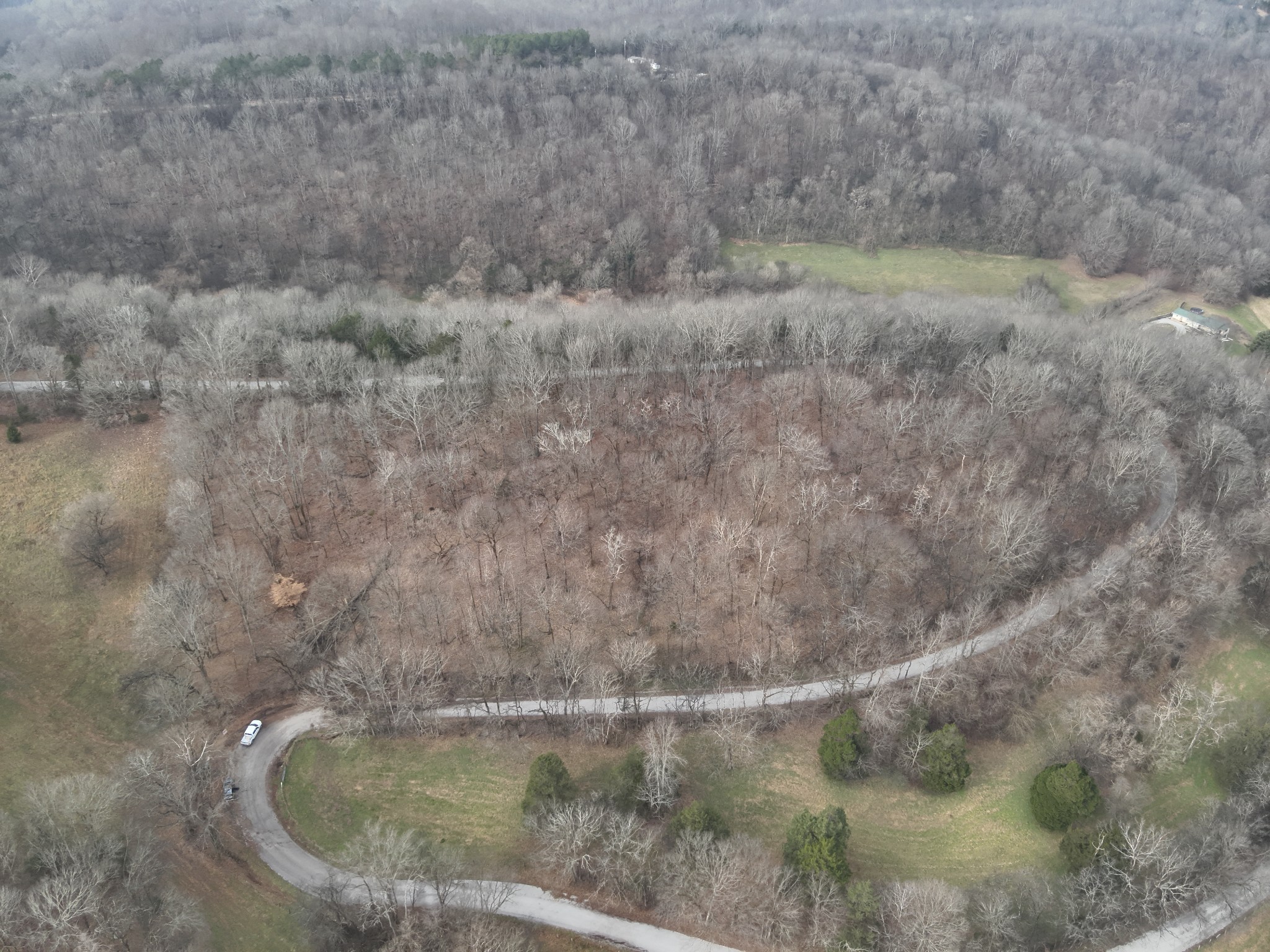 0 Crooked Hill Road Pulaski, TN 38478 - Photo 8 of 26 a view of a dry yard