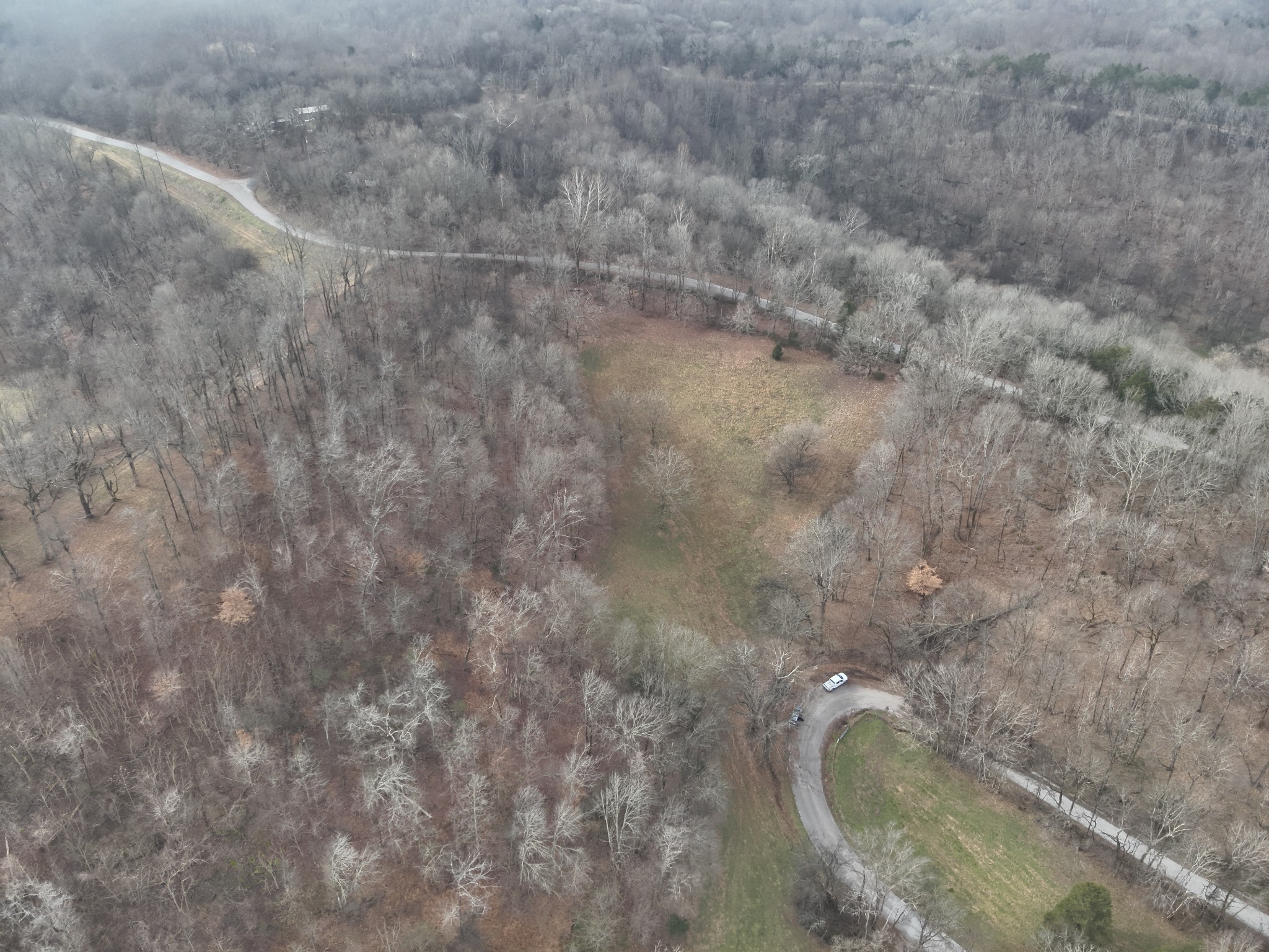 0 Crooked Hill Road Pulaski, TN 38478 - Photo 9 of 26 a view of a dry yard in a house