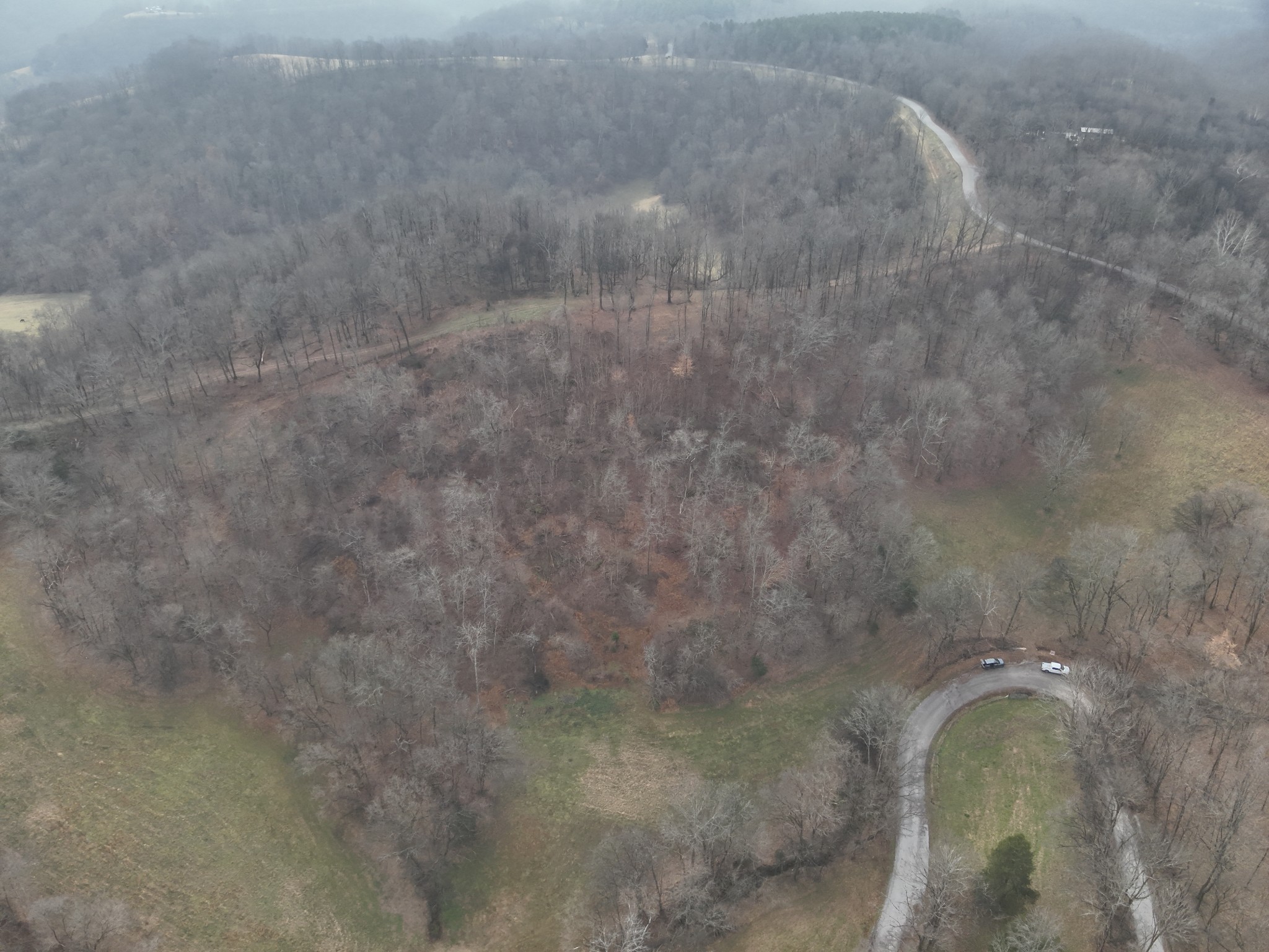 0 Crooked Hill Road Pulaski, TN 38478 - Photo 10 of 26