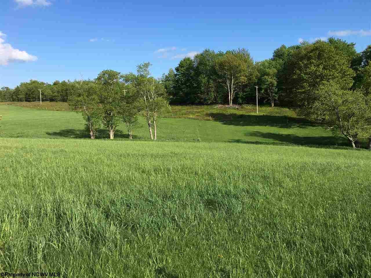 56 View Ridge Drive Davis, WV 26260 - Photo 1 of 20 Gallery Image 1