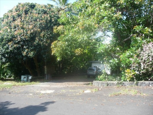 82-6061 Captain Cook Village Road Captain Cook, HI 96704 - Photo 1 of 16 a backyard of a house with trees and plants