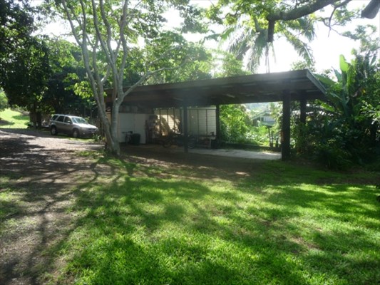 82-6061 Captain Cook Village Road Captain Cook, HI 96704 - Photo 15 of 16 a view of a yard with a tree