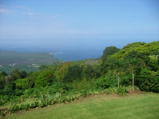 82-6061 Captain Cook Village Road Captain Cook, HI 96704 - Photo 9 of 16 a view of a big yard with a garden
