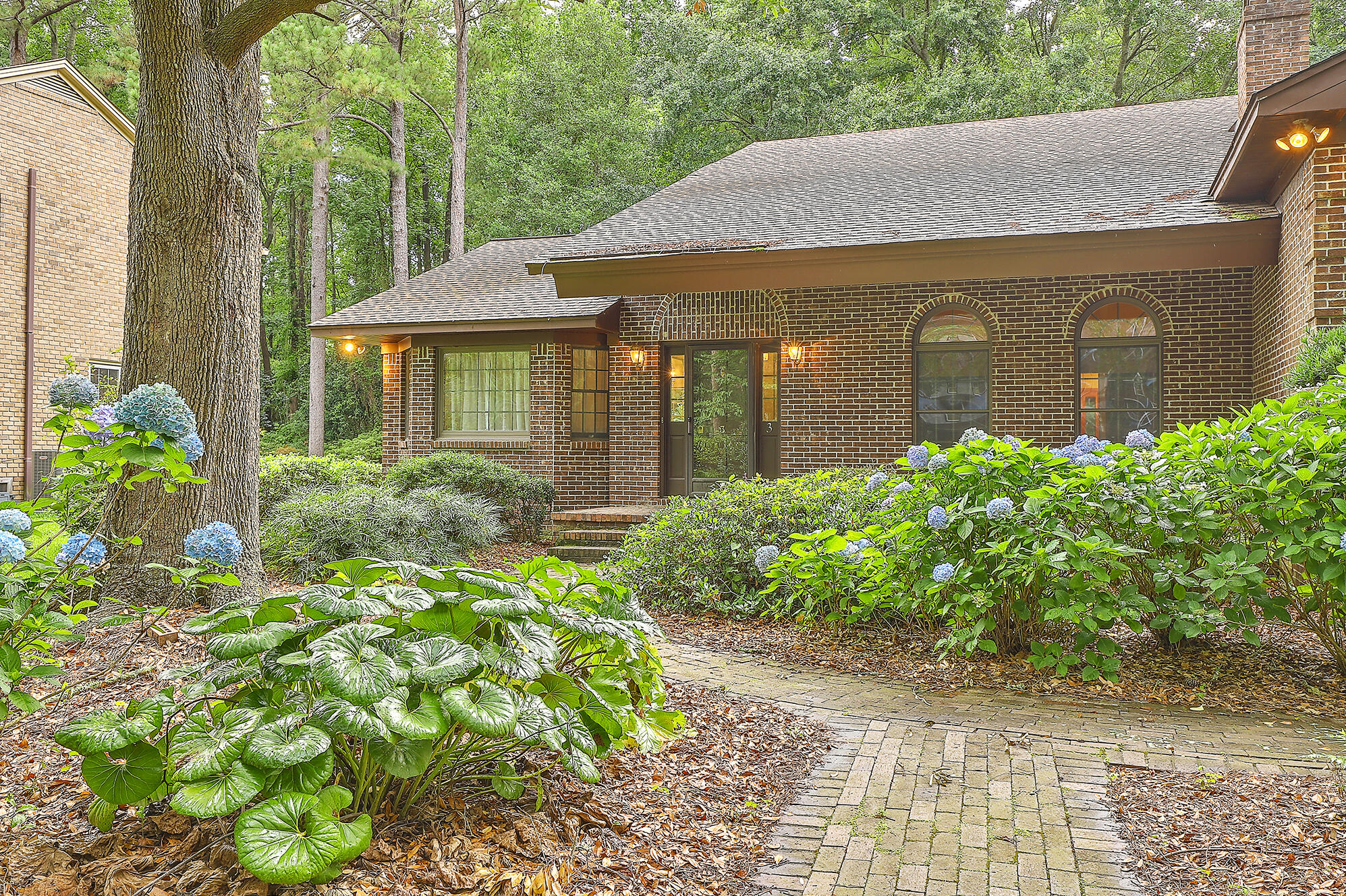3 Battlesea Road Charleston, SC 29407 - Photo 3 of 44 Beautiful landscaping