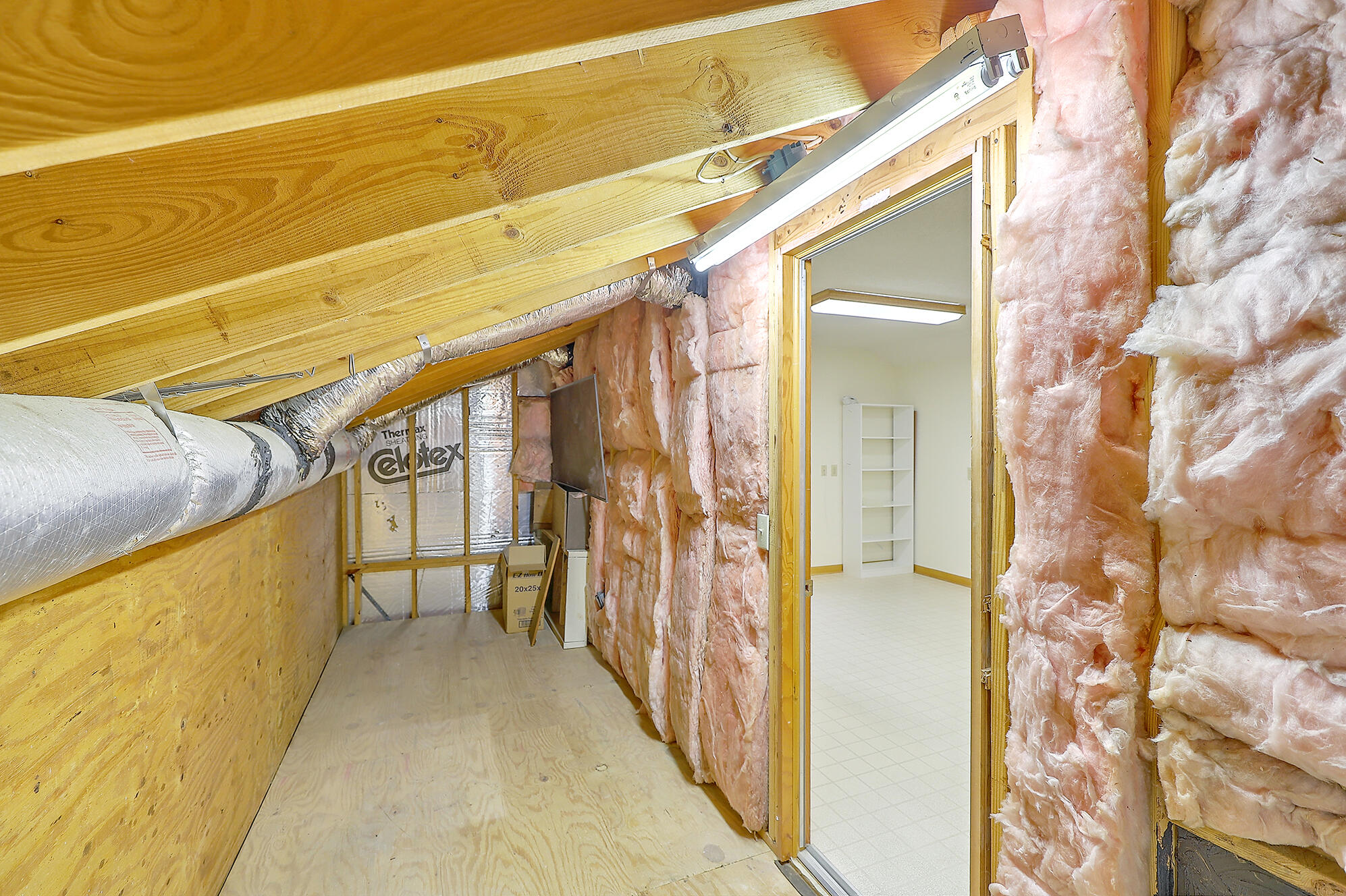 3 Battlesea Road Charleston, SC 29407 - Photo 37 of 44 Standup attic space!