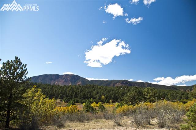 383 Raspberry Lane Monument, CO 80132 - Photo 35 of 36 Why we live in Colorado ….