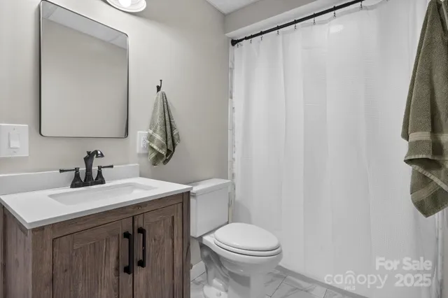 a bathroom with a sink vanity and toilet
