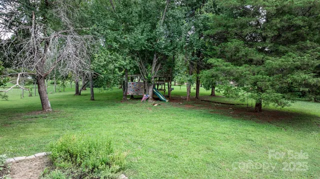 a view of a park with large trees