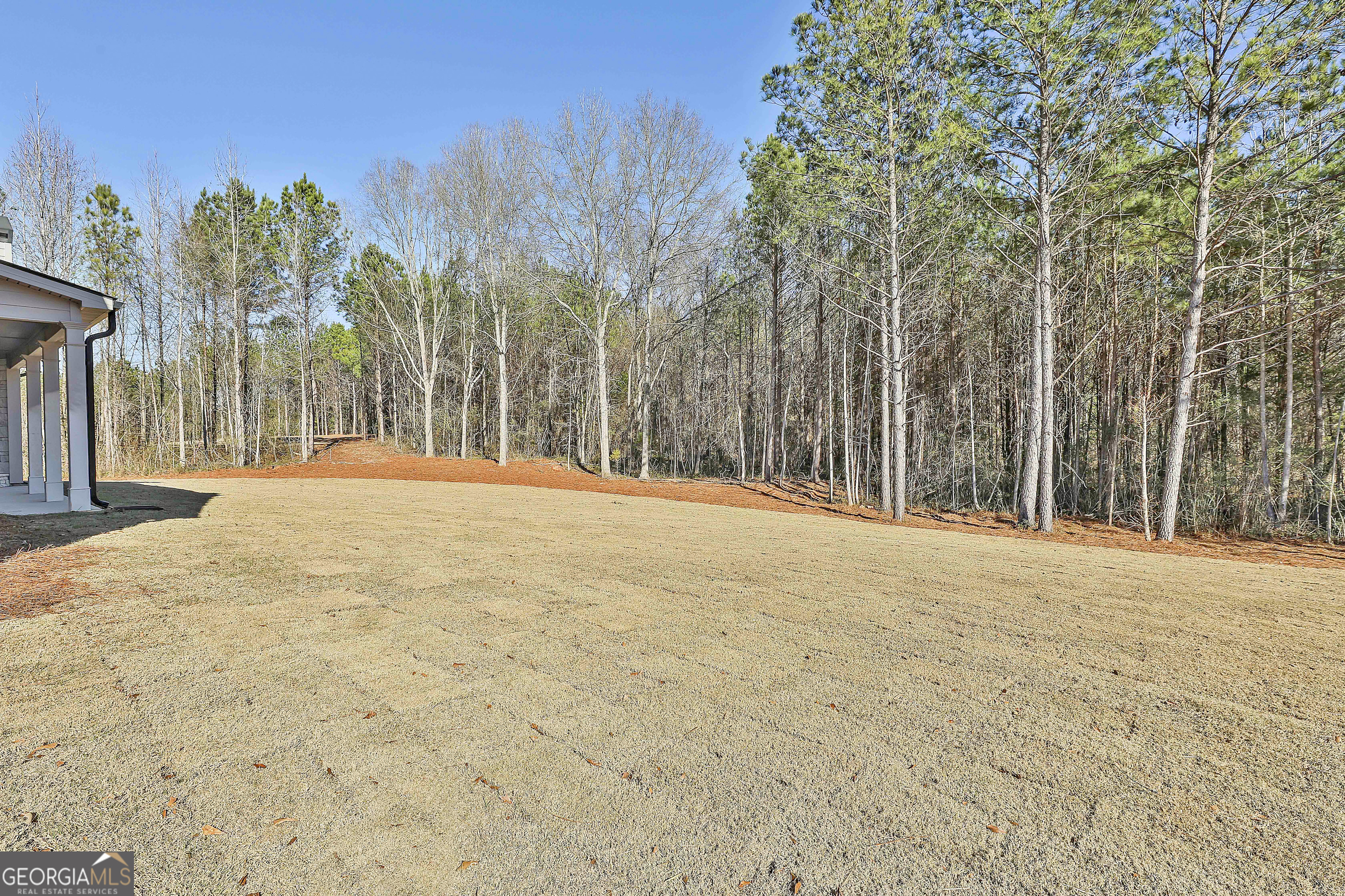 757 Alex Stephens Road Moreland, GA 30259 - Photo 44 of 45 a view of large space with trees
