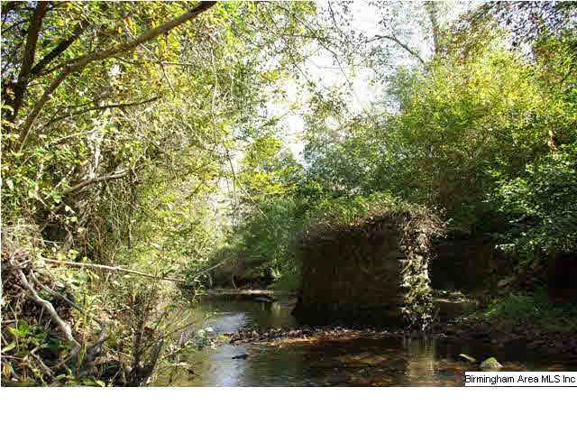 495 Jackson Taylor Road Ashville, AL 35953 - Photo 24 of 28
