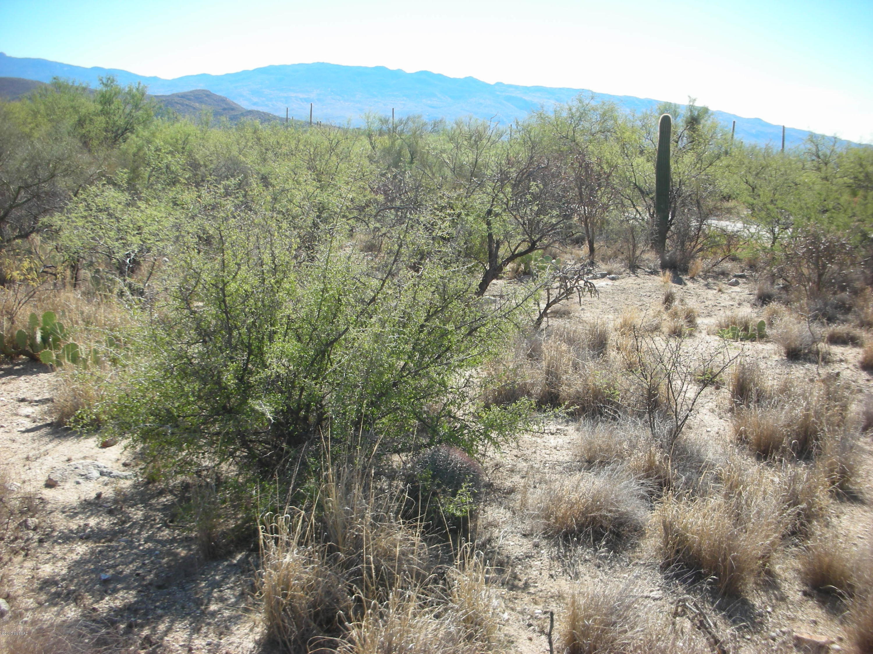 5240 North Mt Lemmon Short Road, Unit 5 Tucson, AZ 85749 - Photo 8 of 19