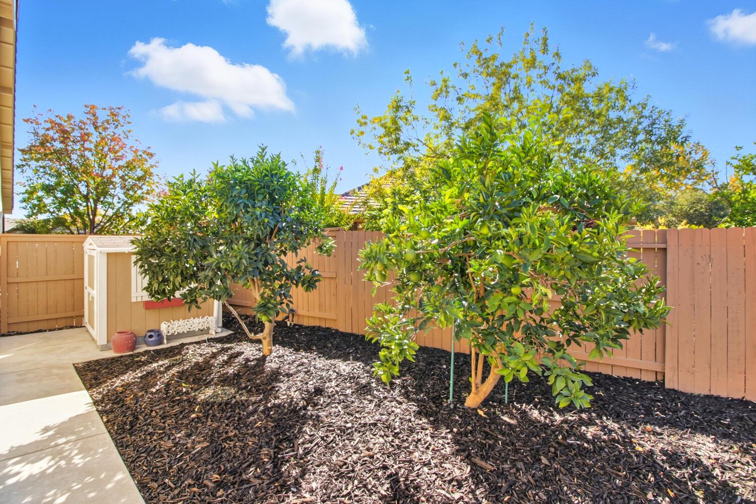 7409 Rothschild Court Elk Grove, CA 95757 - Photo 43 of 62 a backyard of a house with lots of green space