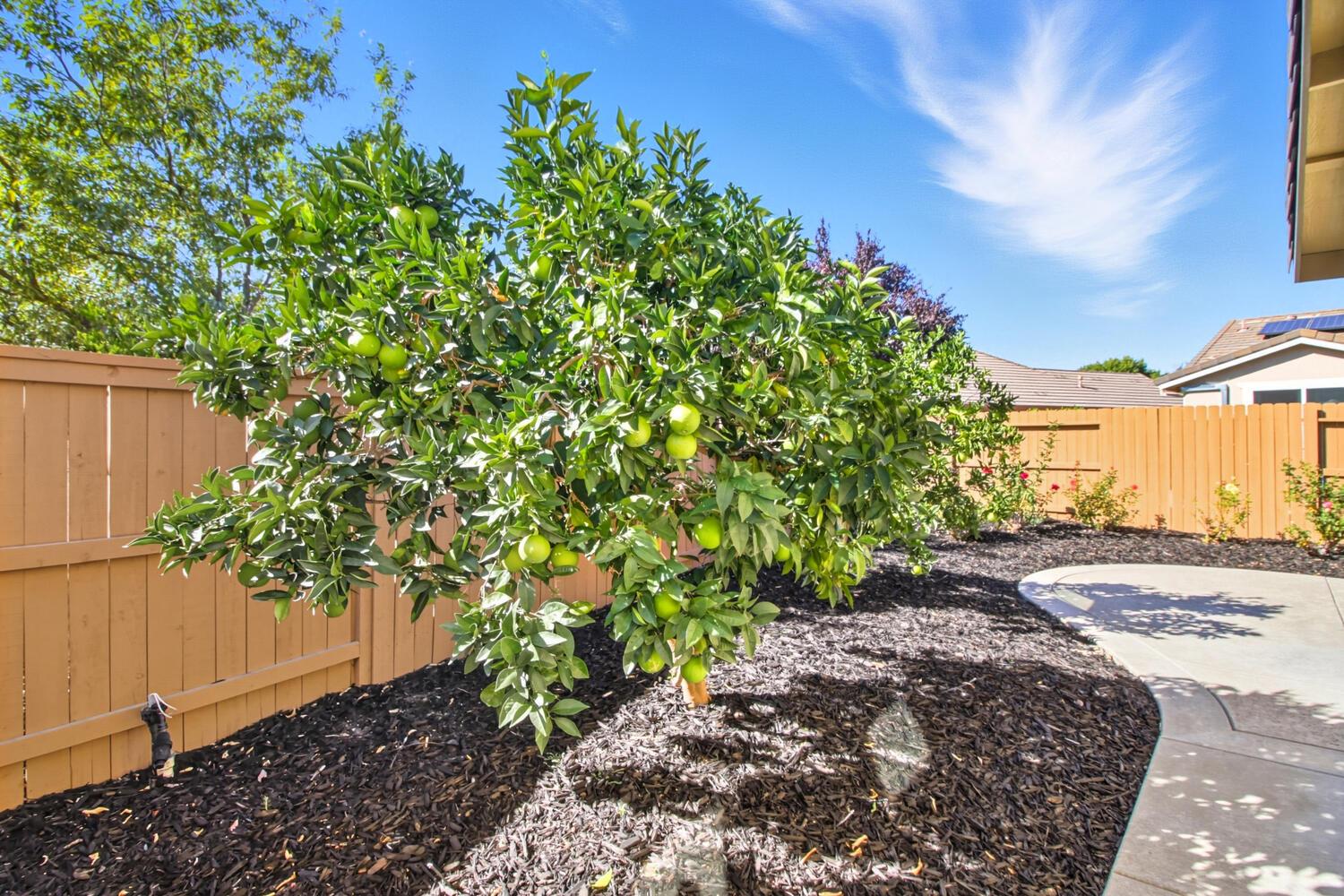 7409 Rothschild Court Elk Grove, CA 95757 - Photo 44 of 62