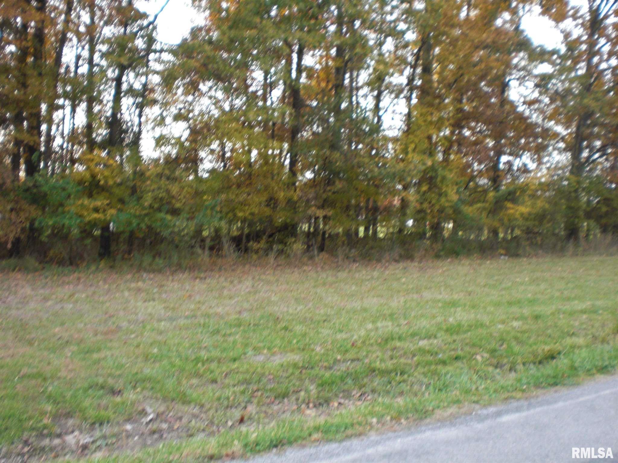12235 Strawberry Road Carbondale, IL 62901 - Photo 1 of 6