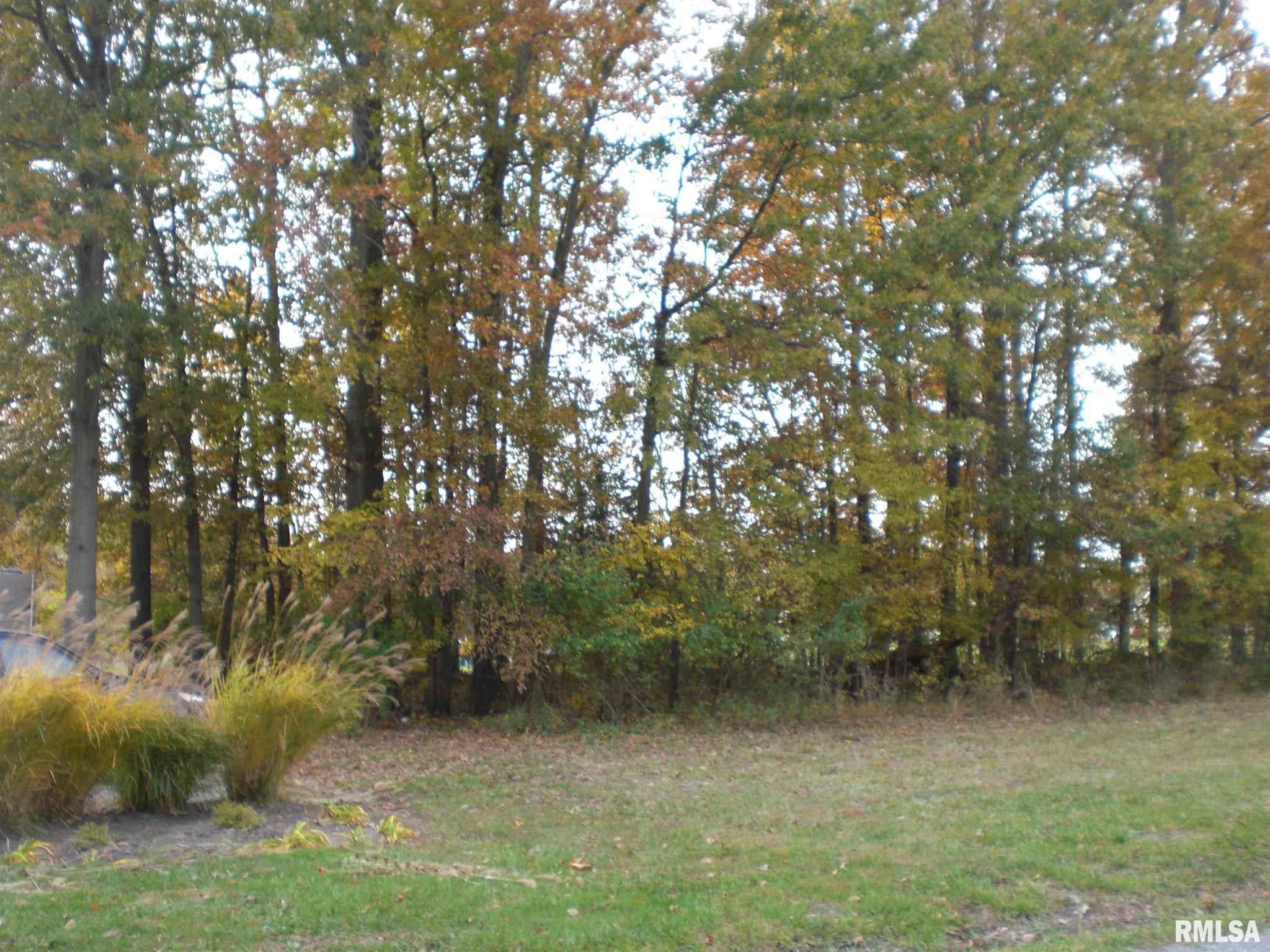 12235 Strawberry Road Carbondale, IL 62901 - Photo 3 of 6