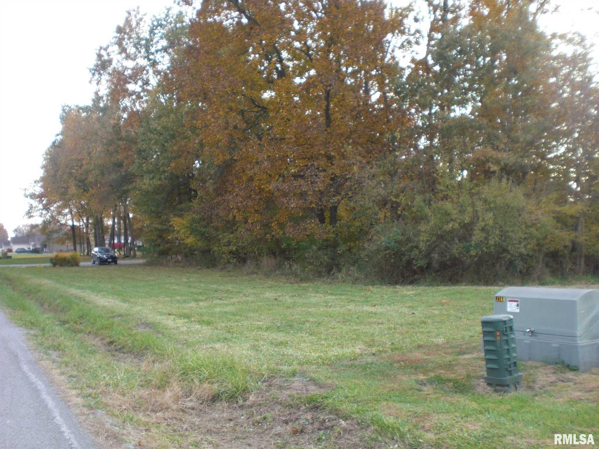 12235 Strawberry Road Carbondale, IL 62901 - Photo 5 of 6