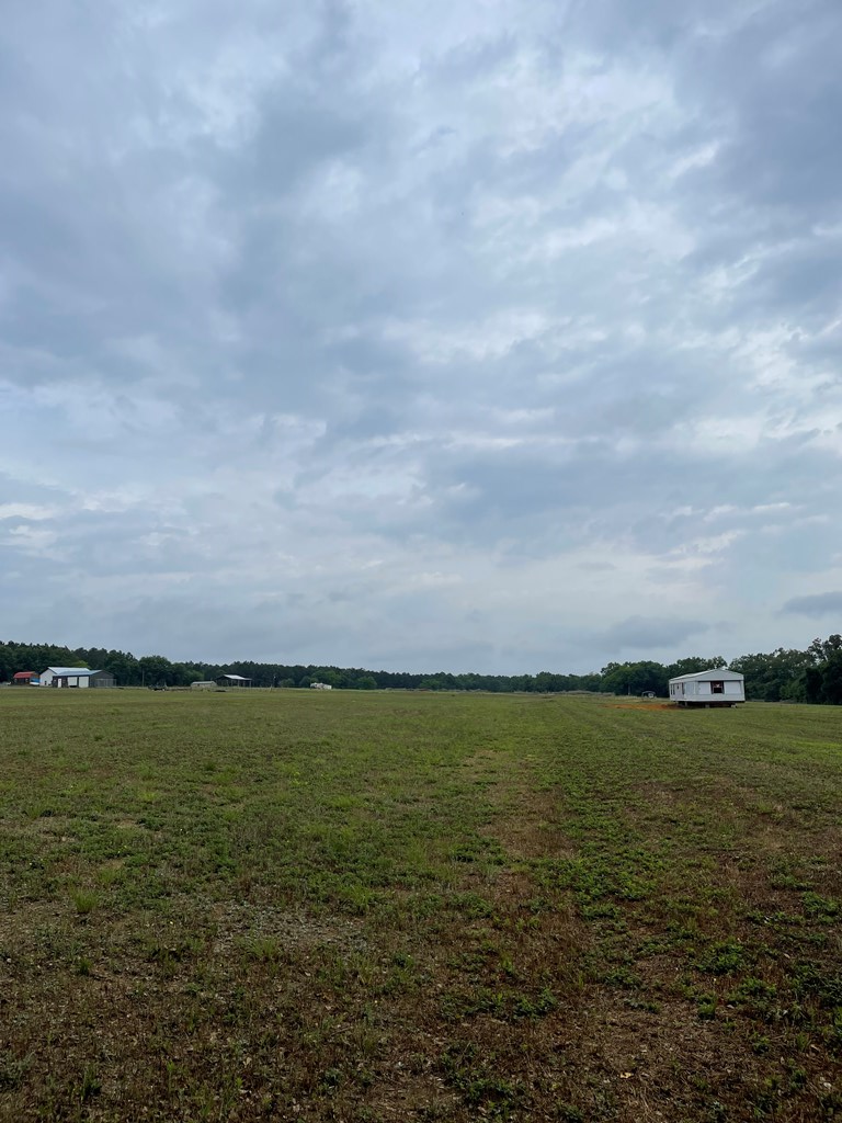 Lot 9 Bill Yance Road Ashford, AL 36312 - Photo 3 of 6