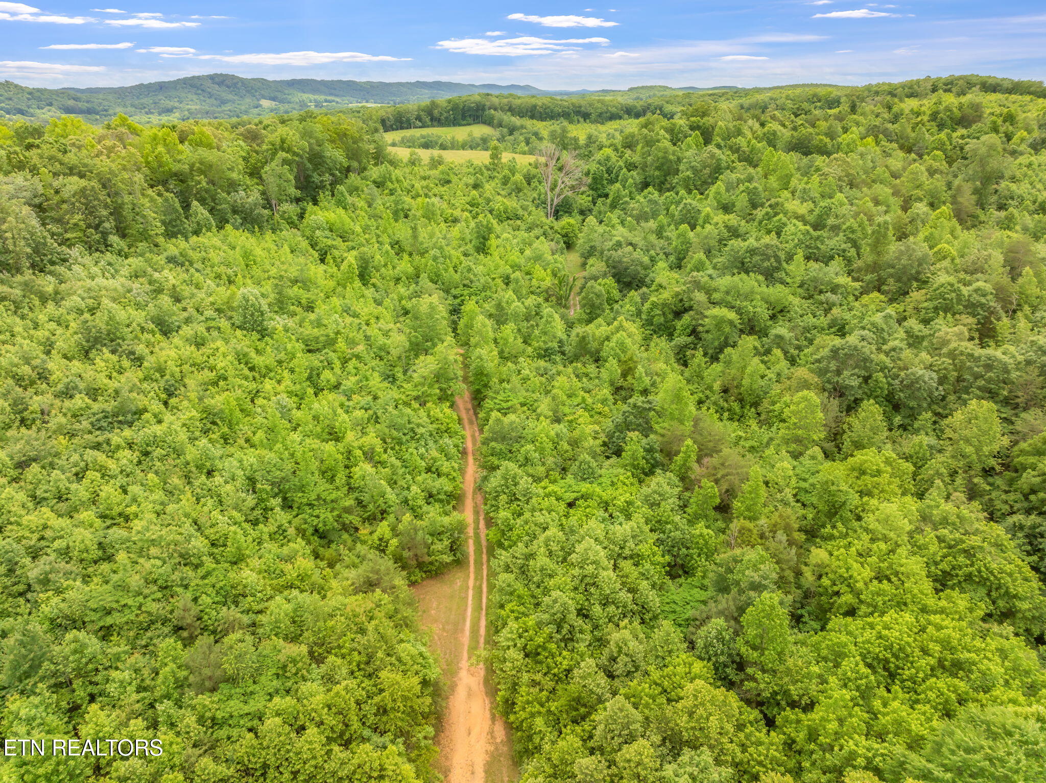0 Grigsby Hollow Road Kingston, TN 37763 - Photo 13 of 34 32-web-or-mls-Grigsby Hollow Land-28