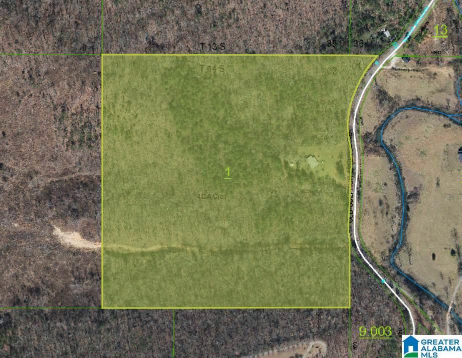 4363 Old Sulphur Springs Road Wellington, AL 36279 - Photo 9 of 37
