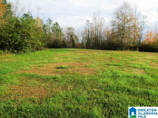 8068 Highway 11 Springville Al, Unit 1 Springville, AL 35146 - Photo 4 of 7