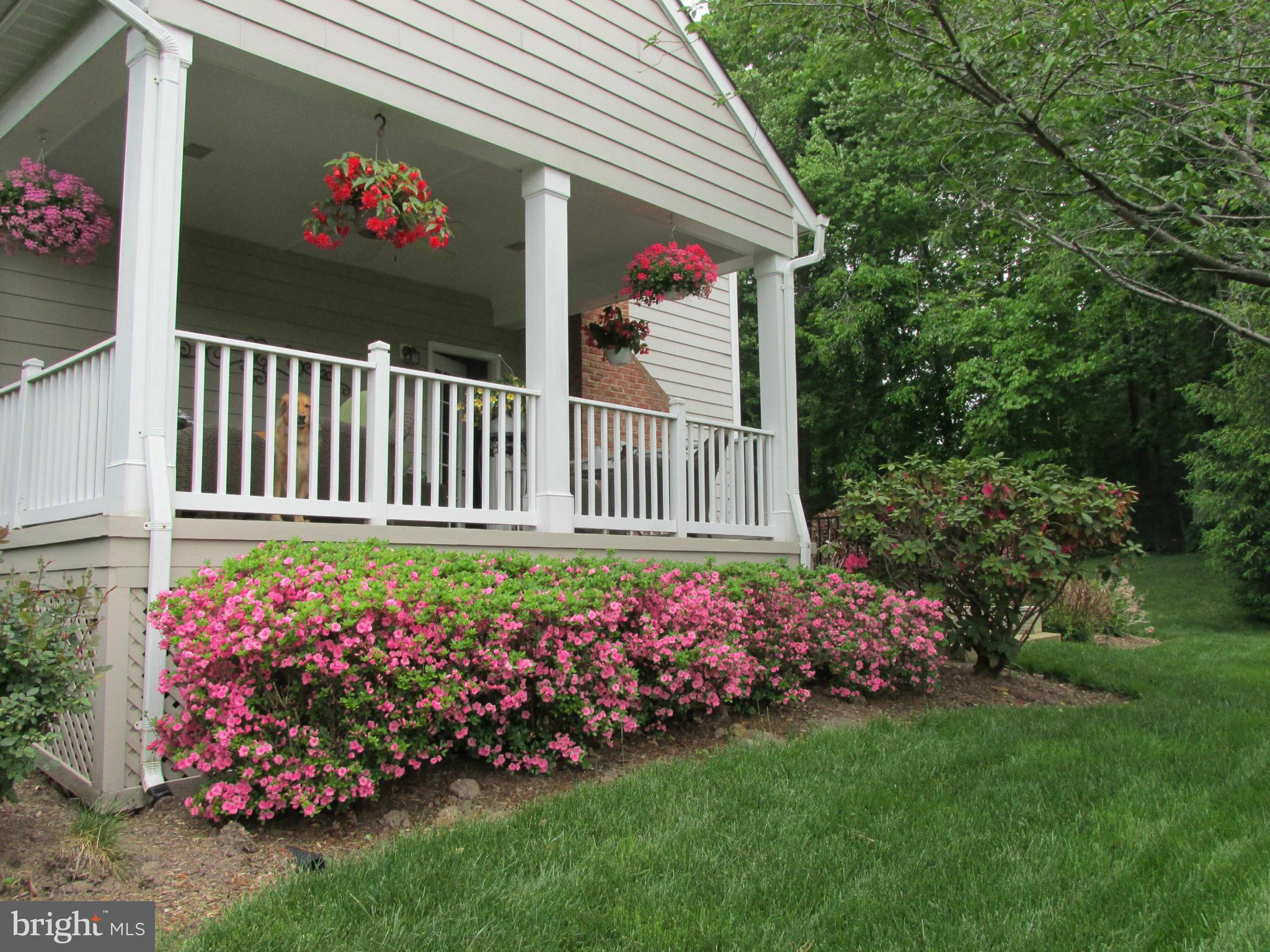 7858 Pembridge Road Manassas, VA 20112 - Photo 28 of 30 Exterior (General)